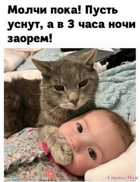 https://upforme.ru/uploads/0009/61/87/126/t476981.jpg