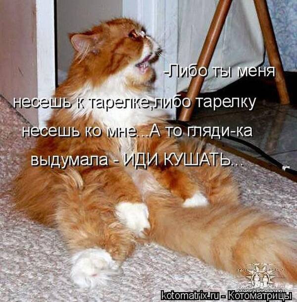 https://upforme.ru/uploads/0009/61/87/126/t555617.jpg