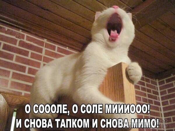 https://upforme.ru/uploads/0009/61/87/126/t566804.jpg