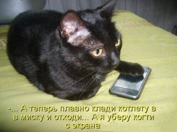 https://upforme.ru/uploads/0009/61/87/126/t665185.jpg