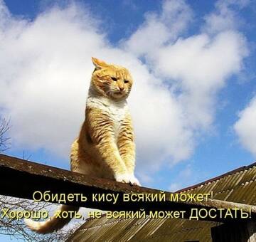 https://upforme.ru/uploads/0009/61/87/126/t672937.jpg