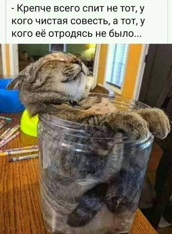 https://upforme.ru/uploads/0009/61/87/126/t743724.jpg