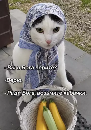 https://upforme.ru/uploads/0009/61/87/126/t751818.webp