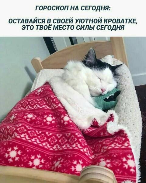 https://upforme.ru/uploads/0009/61/87/126/t754502.jpg