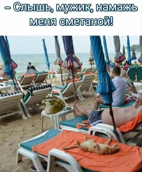 https://upforme.ru/uploads/0009/61/87/126/t798270.jpg