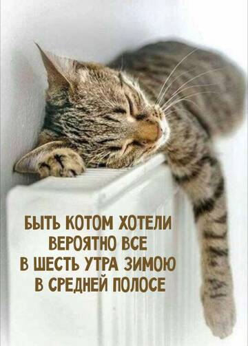 https://upforme.ru/uploads/0009/61/87/126/t804285.jpg