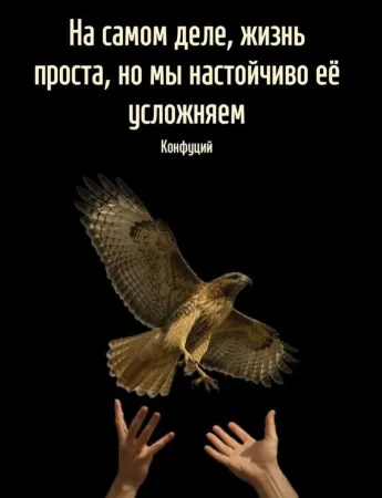 https://upforme.ru/uploads/0009/61/87/126/t825410.webp