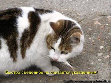 https://upforme.ru/uploads/0009/61/87/126/t826370.jpg