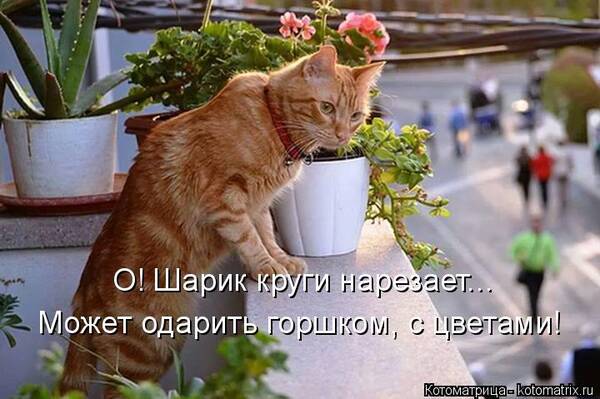 https://upforme.ru/uploads/0009/61/87/126/t836431.jpg