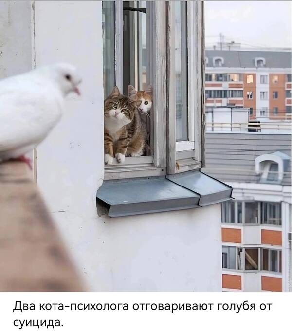 https://upforme.ru/uploads/0009/61/87/126/t844726.jpg