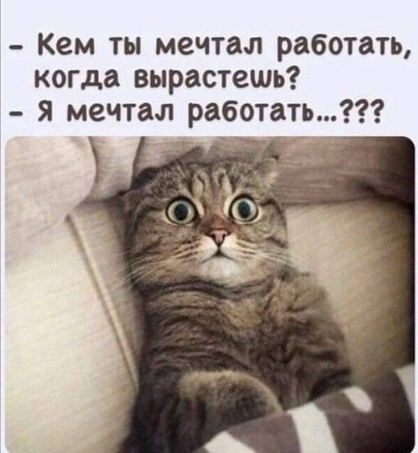 https://upforme.ru/uploads/0009/61/87/126/t852786.jpg