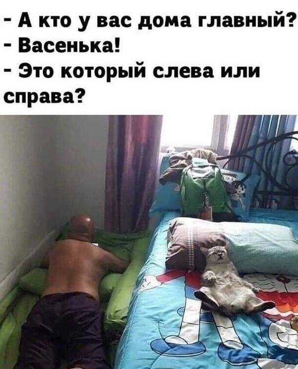 https://upforme.ru/uploads/0009/61/87/126/t86410.jpg
