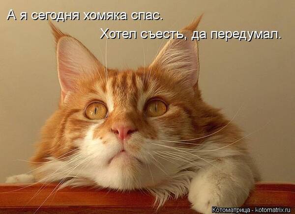 https://upforme.ru/uploads/0009/61/87/126/t913281.jpg