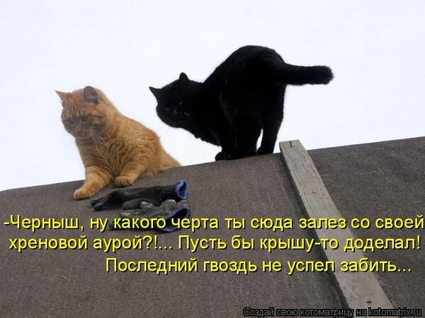 https://upforme.ru/uploads/0009/61/87/126/t964414.jpg
