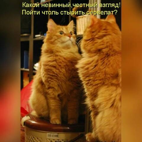 https://upforme.ru/uploads/0009/61/87/126/t98128.jpg