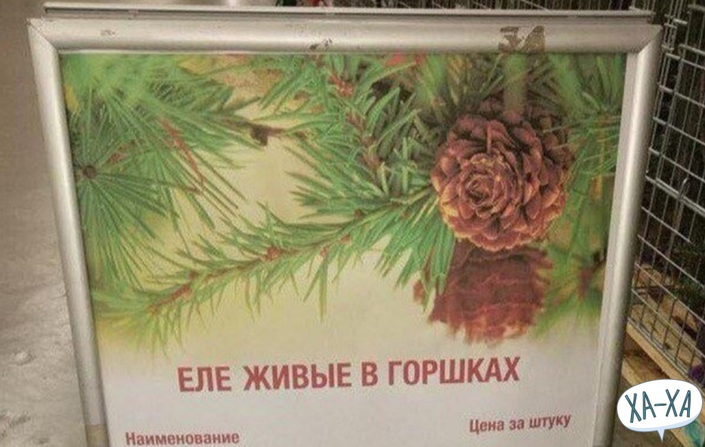 https://upforme.ru/uploads/0009/61/87/1290/327305.jpg