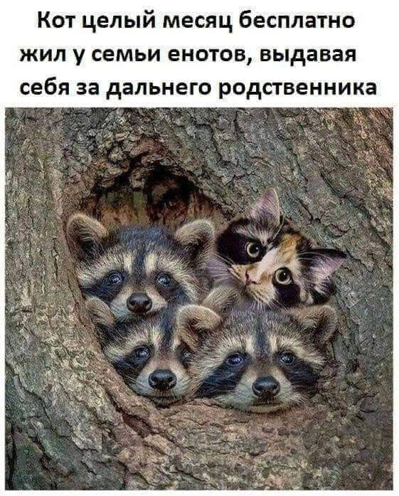 https://upforme.ru/uploads/0009/61/87/1290/358771.jpg