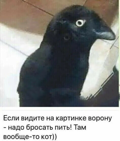 https://upforme.ru/uploads/0009/61/87/1290/787960.jpg