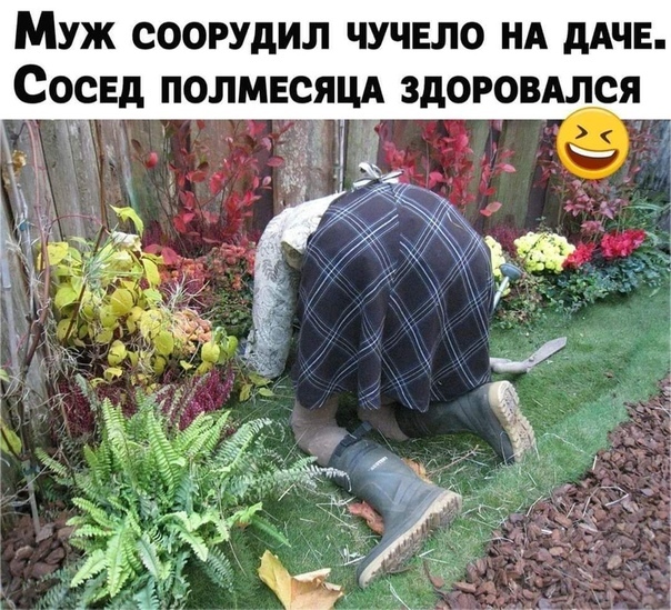 https://upforme.ru/uploads/0009/61/87/1290/885171.jpg