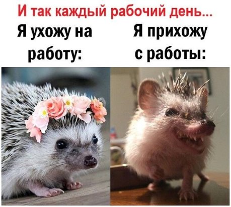 https://upforme.ru/uploads/0009/61/87/1290/900045.jpg