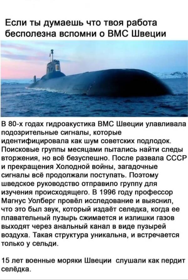 https://upforme.ru/uploads/0009/61/87/1290/t263898.jpg