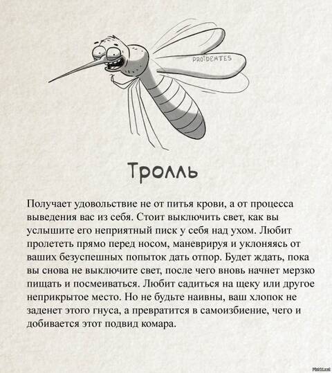 https://upforme.ru/uploads/0009/61/87/14/t157838.jpg