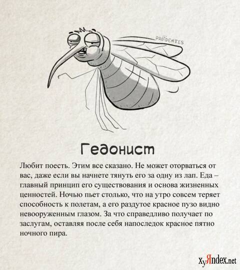 https://upforme.ru/uploads/0009/61/87/14/t357496.jpg