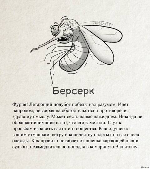 https://upforme.ru/uploads/0009/61/87/14/t455459.jpg
