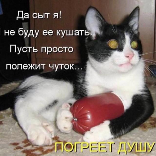 https://upforme.ru/uploads/0009/61/87/229/109965.jpg