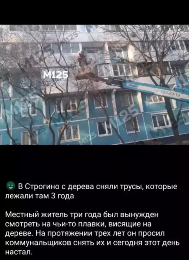 https://upforme.ru/uploads/0009/61/87/229/11428.webp