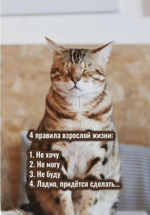 https://upforme.ru/uploads/0009/61/87/229/114692.jpg