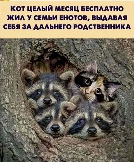 https://upforme.ru/uploads/0009/61/87/229/147343.jpg