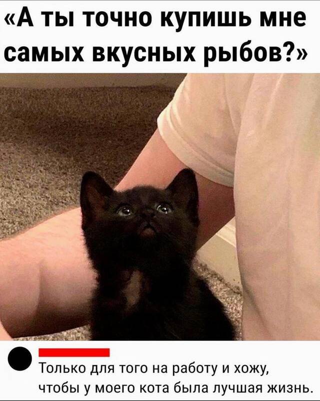 https://upforme.ru/uploads/0009/61/87/229/154078.jpg
