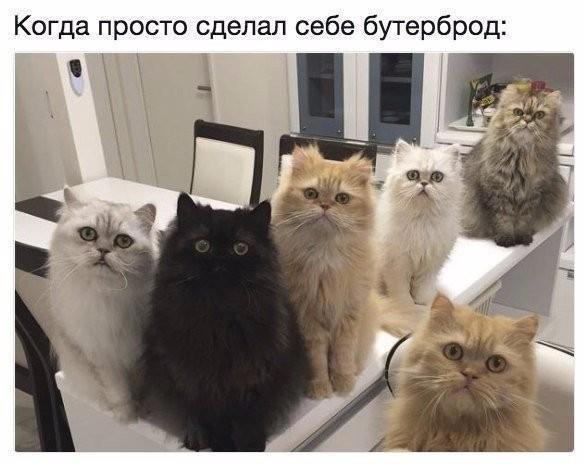 https://upforme.ru/uploads/0009/61/87/229/178855.jpg