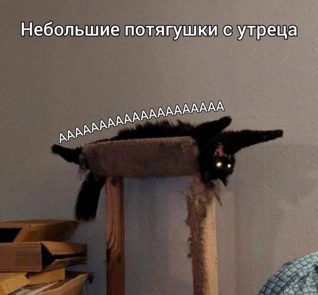 https://upforme.ru/uploads/0009/61/87/229/188182.jpg