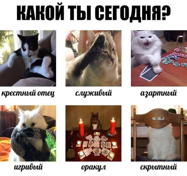 https://upforme.ru/uploads/0009/61/87/229/191065.jpg