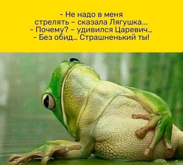 https://upforme.ru/uploads/0009/61/87/229/199781.jpg