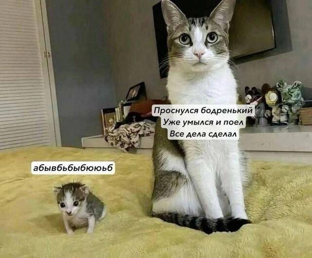 https://upforme.ru/uploads/0009/61/87/229/219057.jpg
