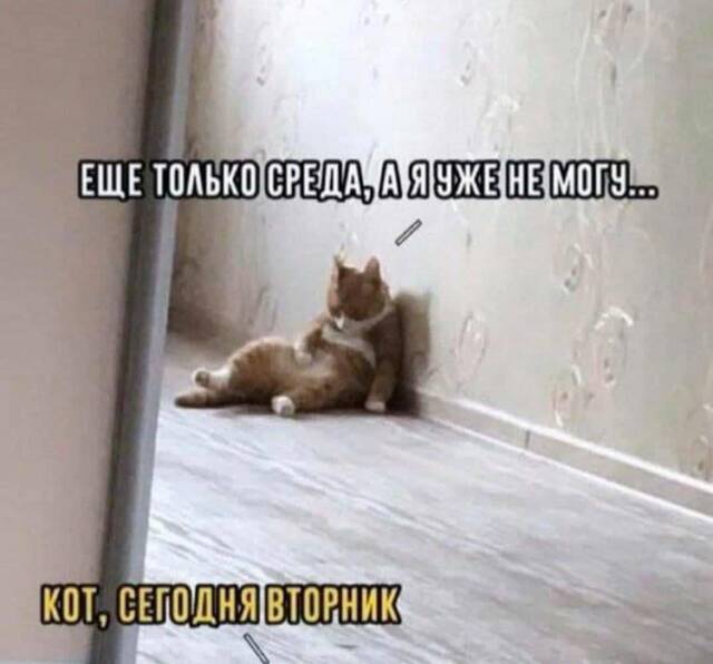 https://upforme.ru/uploads/0009/61/87/229/226076.jpg