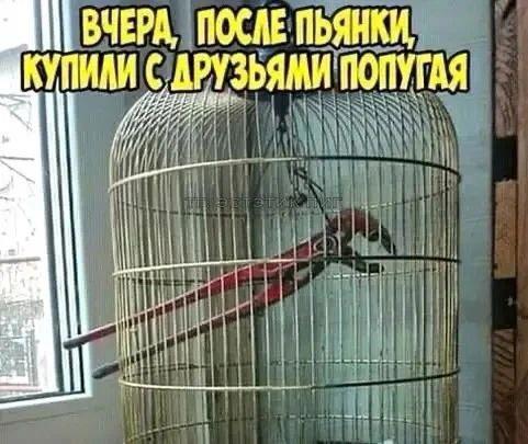 https://upforme.ru/uploads/0009/61/87/229/252985.jpg