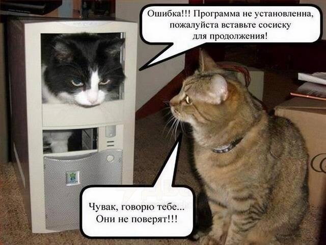 https://upforme.ru/uploads/0009/61/87/229/269935.jpg