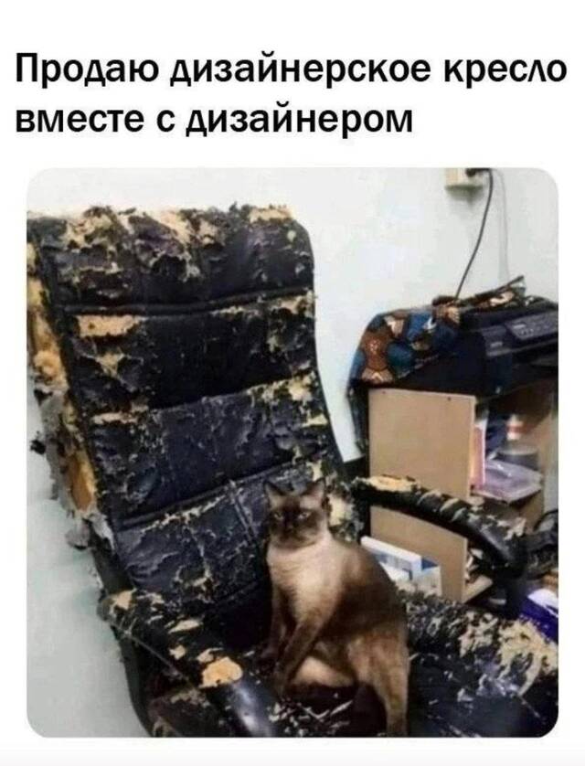 https://upforme.ru/uploads/0009/61/87/229/271964.jpg