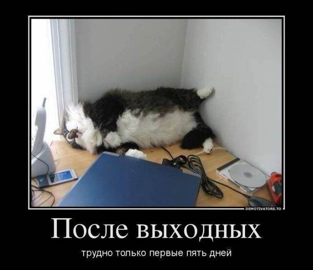 https://upforme.ru/uploads/0009/61/87/229/285531.jpg