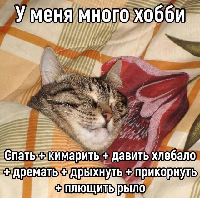 https://upforme.ru/uploads/0009/61/87/229/29993.jpg
