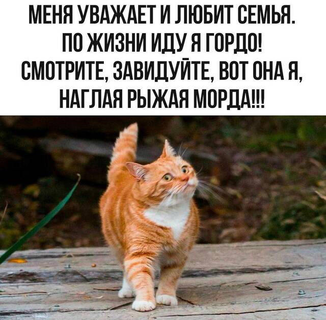 https://upforme.ru/uploads/0009/61/87/229/308489.jpg