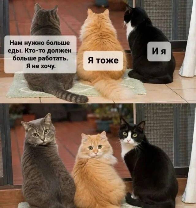 https://upforme.ru/uploads/0009/61/87/229/322504.jpg