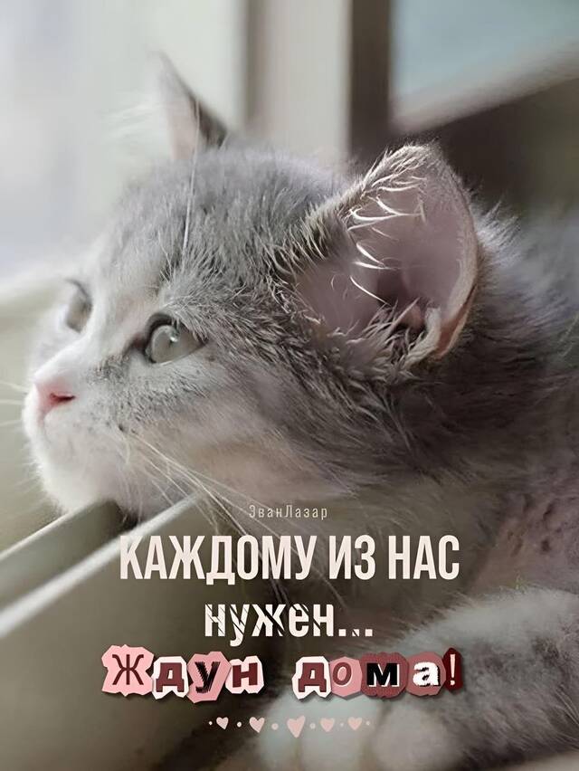 https://upforme.ru/uploads/0009/61/87/229/323048.jpg
