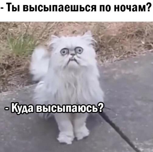 https://upforme.ru/uploads/0009/61/87/229/339309.jpg