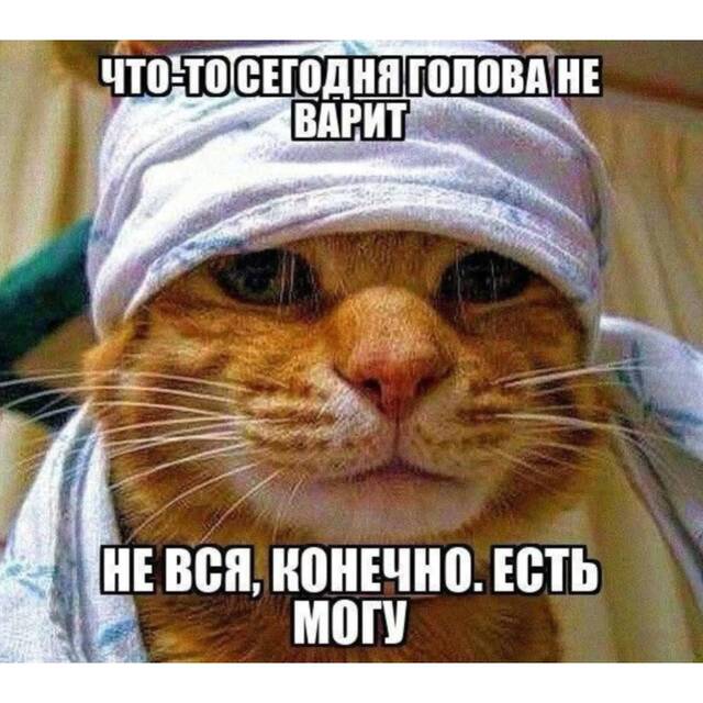 https://upforme.ru/uploads/0009/61/87/229/343970.jpg