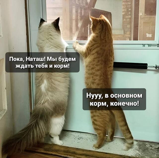 https://upforme.ru/uploads/0009/61/87/229/355627.jpg